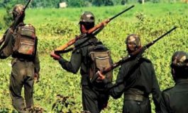 झारखंड के जंगल में 5 नक्सली मुठभेड़ में मारे गए