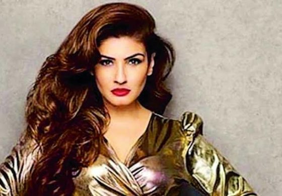 क्या रवीना ने की पाकिस्तानी की तारीफ?