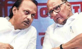 चाचा पवार के मोह में आए छोटे पवार !