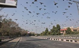 Kejriwal is requesting for suggestions on corona...