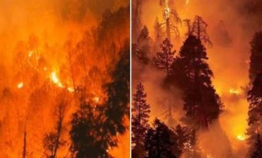 Massive Forestfire in Uttarakhand