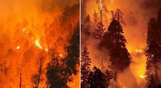 Massive Forestfire in Uttarakhand