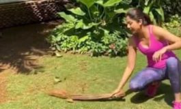 *पर्यावरण दिवस / शिल्पा शेट्टी बोलीं- साल 2020 ने हमें बहुत से सबक सिखाए, कुदरत का सम्मान करेंगे तभी खुशहाल रह पाएंगे।