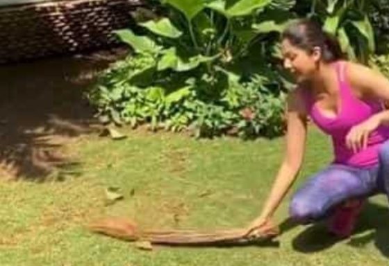 *पर्यावरण दिवस / शिल्पा शेट्टी बोलीं- साल 2020 ने हमें बहुत से सबक सिखाए, कुदरत का सम्मान करेंगे तभी खुशहाल रह पाएंगे।