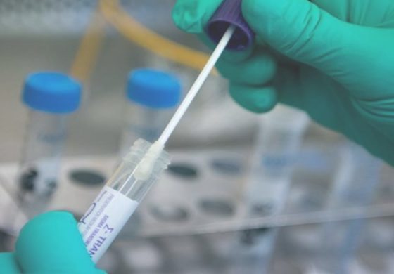 भारत में कोरोना वायरस के हुए 50 लाख टेस्ट, ऐसा करने वाला विश्व का चौथा देश