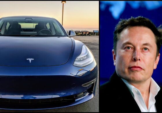 “Elon Musk decided the meeting of Tesla’s market in New Delhi”