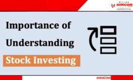 Understanding Stocks and Their Importance in Investment