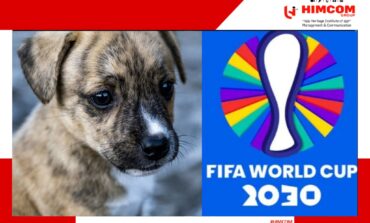 Morocco Criticized for Killing Stray Dogs Before FIFA 2030