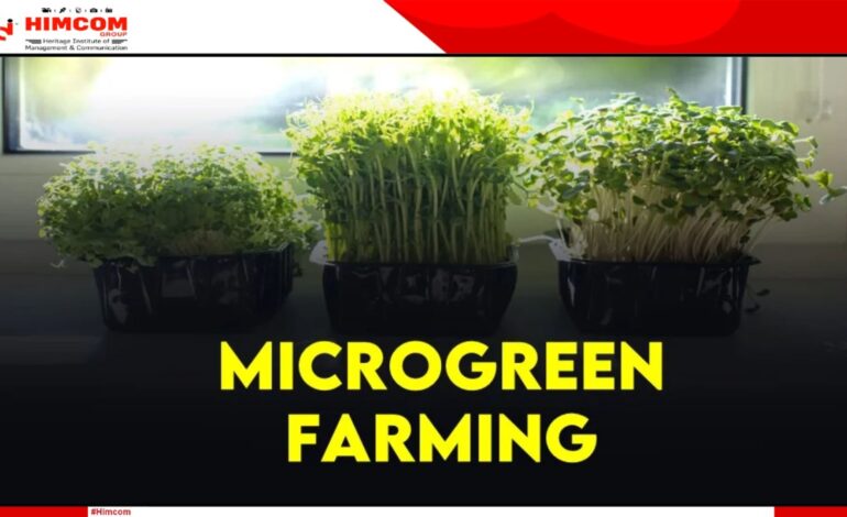 माइक्रो-ग्रीन क्रांति: भारत में पोषण और रोज़गार का नया रास्ता”