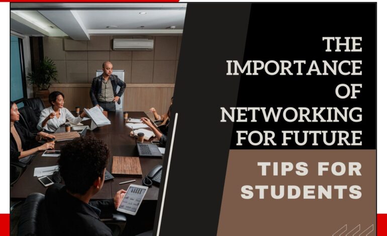 Importance of Networking in College Life